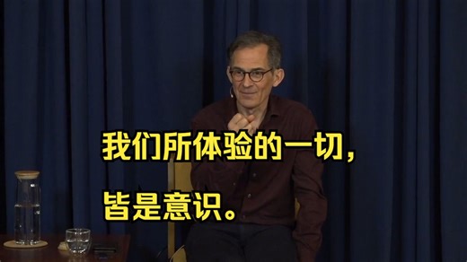 Rupert Spira：我们所体验的一切，皆是意识。All We Ever Experience Is Consciousness 鲁伯特斯彼拉