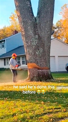 Logging fail compilation.#fail#Lumberjack#Logging#LoggingLife#funny#USA#foryou#fyp