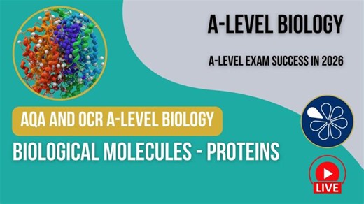 AQA and OCR A-Level Y1 Biology Live Stream 2026 | Biological Molecules – Proteins | tutor2u