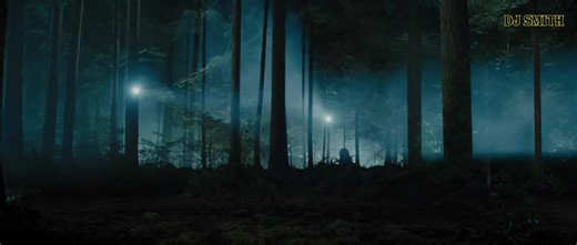 Epic Bee Transport Challenge