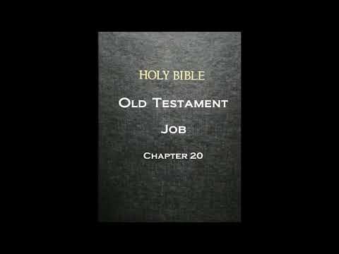 The Bible - The Old Testament : Job - Chapter 20
