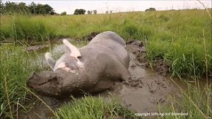 76K views · 6.8K reactions | Make-Up-Tipps (*English version below)...