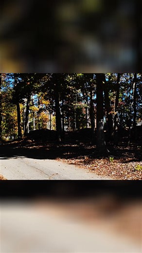 Want to keep your dog relaxed during walks? Try this simple method: a few steps, then sit. Repeat. It helps them stay focused and calm even with distractions. #DogTraining #CalmDog #DogWalks #PetTips #DogBehavior | Ranger Dog Training LLC | Facebook