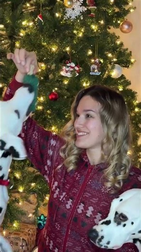 The Perfect Christmas Gift for Dogs 🎁🐶