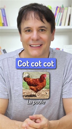 Les onomatopées des animaux en français 🐓 #shorts