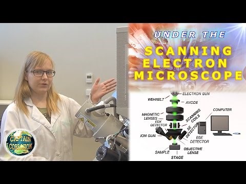 How to Use an Ion Gun Under the Scanning Electron Microscope