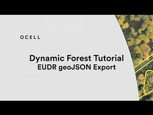 EUDR mit Dynamic Forest