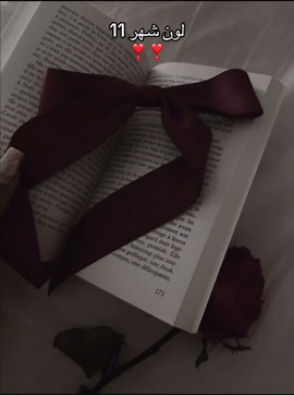 Stunning Transitions in November