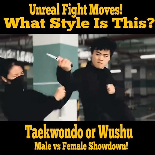 Is This Taekwondo or Wushu? The Technique Here Is Unreal!