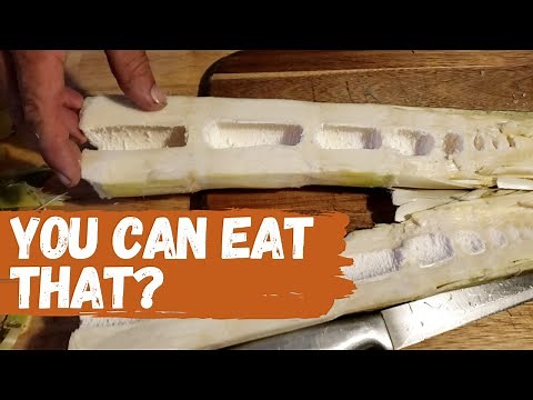 Harvesting & Prepping Bamboo To Eat!!