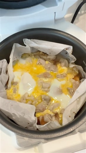 Lisa Kitahara on Instagram: "Rice Cooker Oyakodon POV 🤗 🔗full recipe on okonomikitchen blog~ #oyakodon #ricecooker #japanesefood"