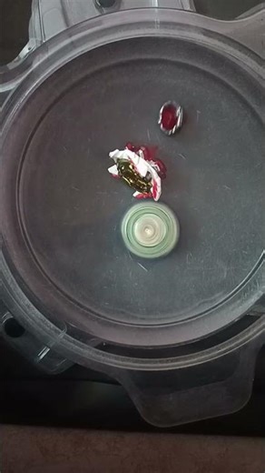 Vanish fafnir vs venom Diablos #beyblade #beyblade #beybladeburstanime #beybladeburst