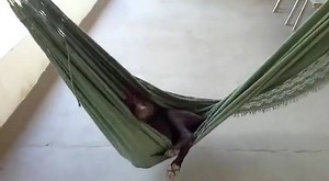 Getting into bed drunk be like... | The University Paper | Facebook