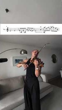 The Schindler’s List Theme - John Williams #violin