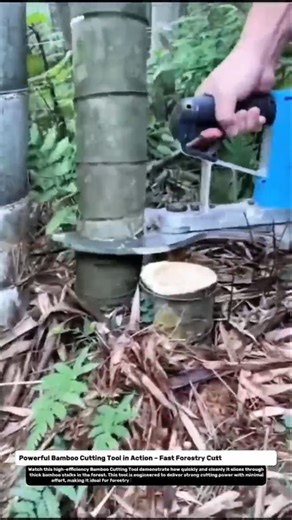 Powerful Bamboo Cutting Tool in Action – Fast Forestry Cutting Technology.