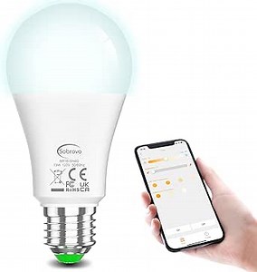 Alexa Led Light Bulbs, A19 E26 Smart Bulb, 130W Equivalent, Warm White to Daylight, 13 Watt Bluetooth Remote Control Light Bulb,Energy Saving,for Kitchen Bedroom Indoor,1 Pack