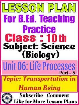 Class 10 Science Lesson Plan | Unit 06: Life Processes | Transportation in Human Beings |Lesson Plan