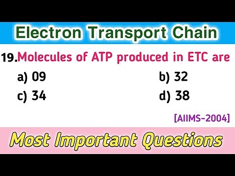 electron transport chain mcq || electron transport chain biochemistry