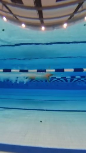 12K views · 101 reactions | Training the abdominal muscles and...