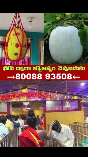 When should I tie a pumpkin...?!! #god #devotional #astrology #shiva #spirituality #viral #motiva...