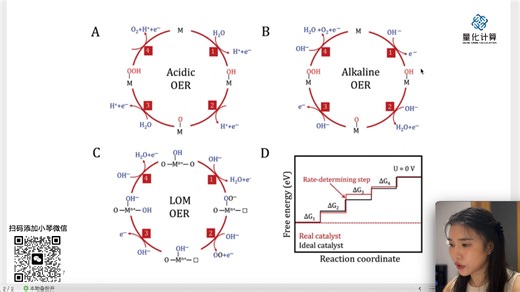 文献讲解第10期：OER反应路径与AEM和LOM机理