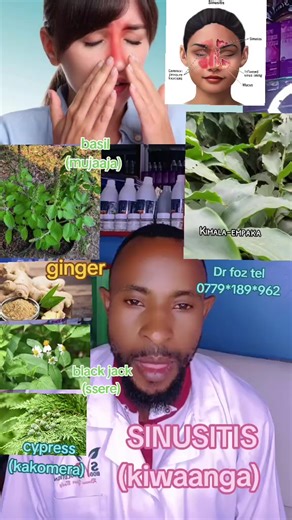 Effective Herbal Remedies for Sinusitis Treatment