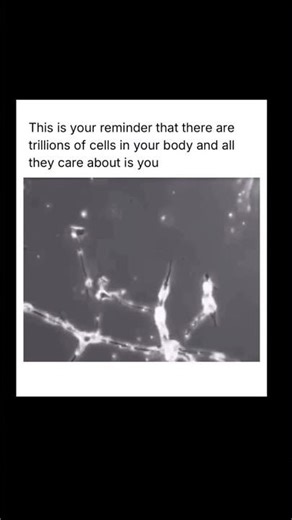 #quotes #inspireneet#viralshorts #neet #motivation #neetaspirents#motivationalquotes#shorts#reels