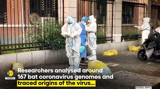 New Study Debunks Covid 'Lab-Leak' Theory, Claims Virus Didn’t Originate In Wuhan #covid19 #covidnews #china | WION