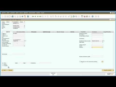 Como Crear un Socio de Negocio Cliente en SAP Business One