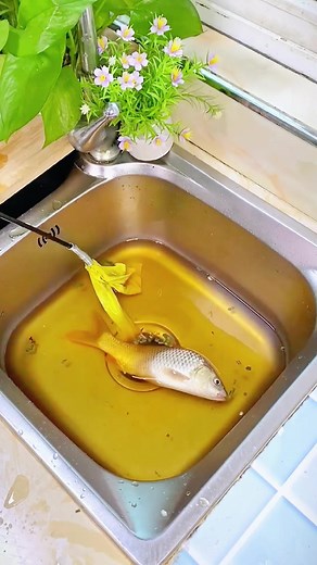 Spring pipe dredging tool#pickuptool #draincleaning #cleantok #cleansnakes #handtools #cleaningtips #pipetool #draintools #fyp #fypシ #tiktok