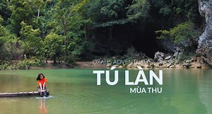 298 reactions · 17 shares | TÚ LÀN MÙA THU VÀ NHỮNG TRẢI NGHIỆM KHÁC...