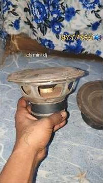 Woofer #speaker #woofer #day #soundtesting #experiment