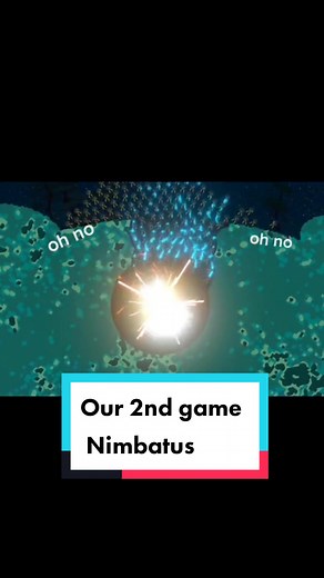 Stray Fawn Studio on TikTok