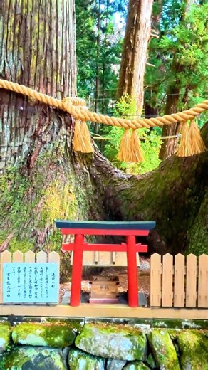 【閲覧注意】龍神が眠る「本物の穴」を見てはいけない。奈良・室生龍穴神社の静かなる拒絶 The Dragon’s Breath: Murou Ryuketsu Shrine in Nara ⛩️🐲⛈️
