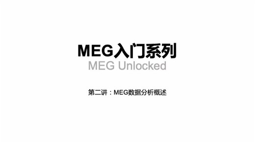 【MEG入门系列】Ep2_MEG数据分析概述