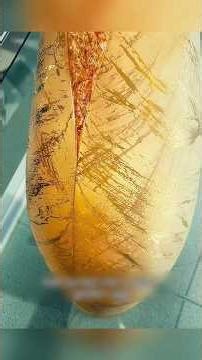 A Strange Stone Turned Into a Deadly Alien Egg#movieshorts