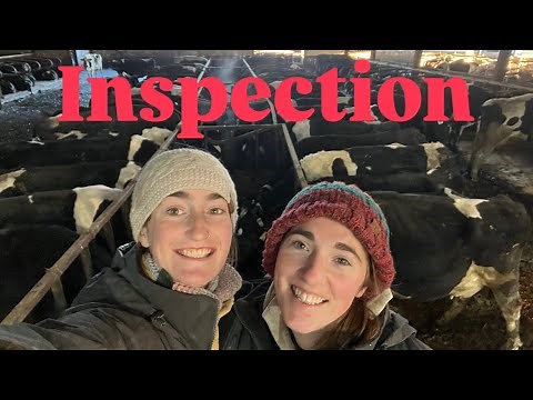INSPECTION ON THE FARM - RED TRACTOR