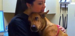 Dog Gives Best Hugs After Being Rescued