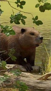 This week's new PLANET ZOO 2 animal list
