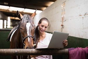 Online Bachelor of Science in Equine Studies Program