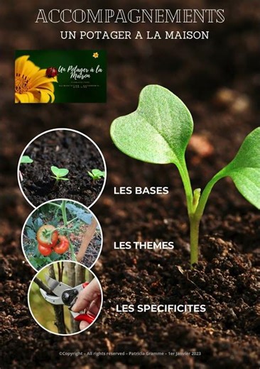Invitation à me découvrir à travers la plaquette des accompagnements que je propose pour le Potager