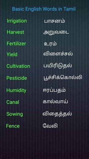 Basic English Words and it's Tamil Meaning - Vocabulary📚