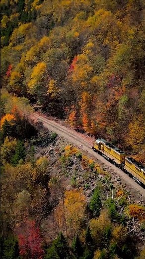 Peak fall foliage in New England 2025