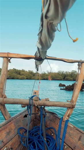 1.1K views · 12 reactions | Erinnerungen für die Ewigkeit 癩 Plane jetzt dein Safari-Abenteuer mit Kuoni und begib dich auf die Reise deines Lebens. Für alle, die die intensivste Begegnung mit der Natur suchen. | Kuoni | Facebook