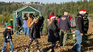 Where you can still get a Christmas tree near Spokane