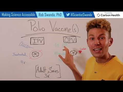 How the Polio Vaccine (IPV and OPV) Works
