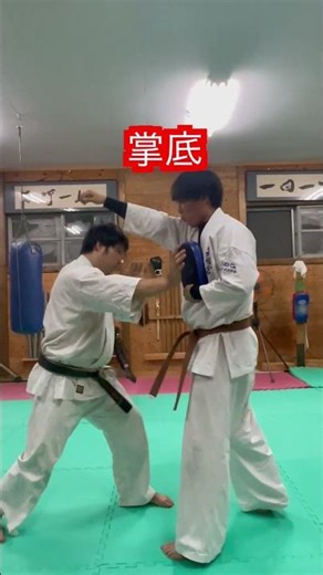 【空手】掌底 種類！！#aikido ＃karate #martial #合気道 #武道 #空手