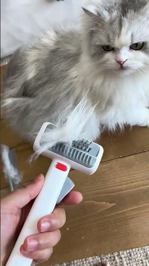 【長毛猫飼い必見🐱】毛玉も絡まりも一撃解消！痛みなしの神ブラシ発見✨