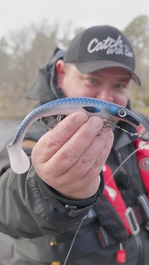 The new Pig Shad color - The Decoy🔥 Check it out at @sportfiskemassan Catch With Care - Booth D:412 @magnus_cwc #catchwithcare #pigshad | Catch With Care