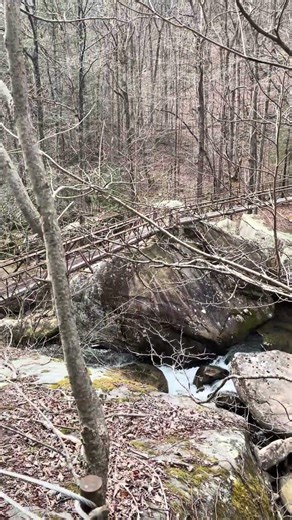 150ft Bridge Laurel Snow